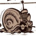 Avatar de l’utilisateur